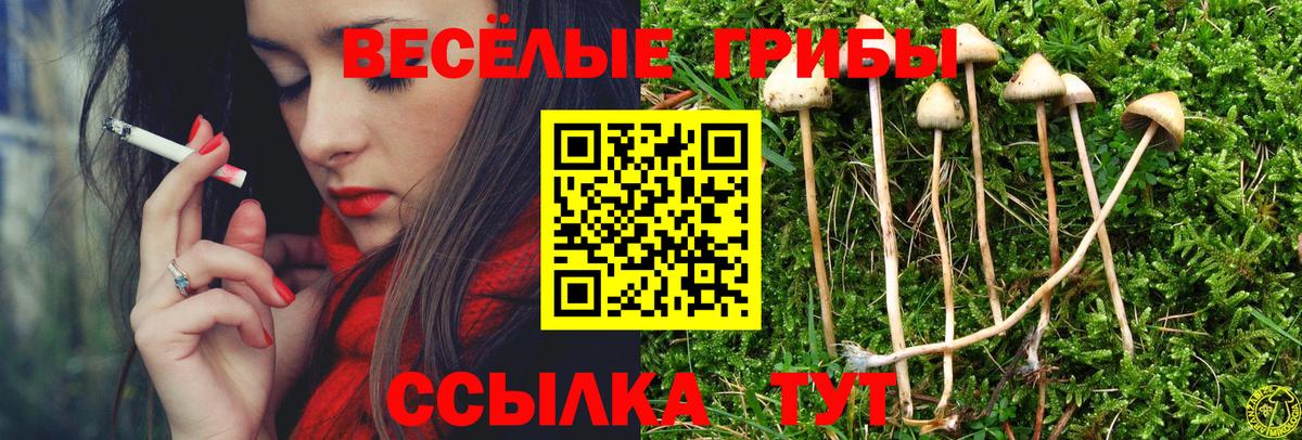 Галлюциногенные грибы ЛСД  Вход с VPN  Острогожск 
